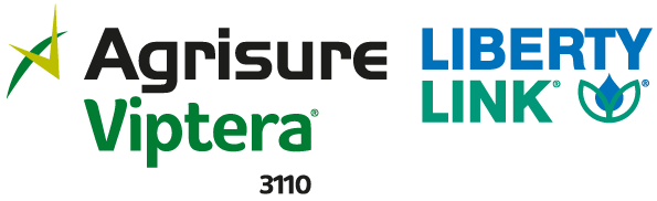 Agrisure Viptera - Liberty link